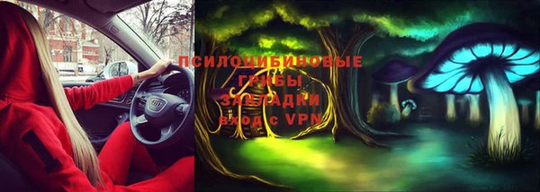 ALPHA PVP Краснослободск