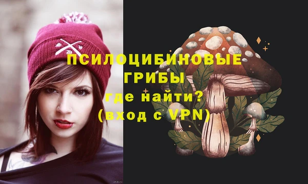 ALPHA PVP Краснослободск