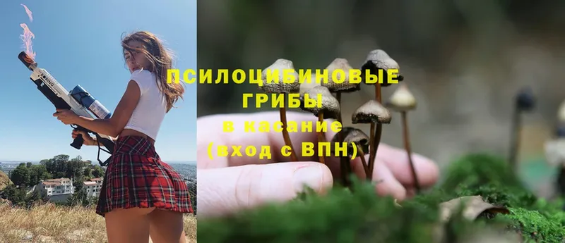 Галлюциногенные грибы Magic Shrooms  где можно купить   Железногорск 
