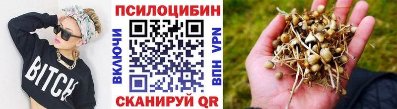 Галлюциногенные грибы MAGIC MUSHROOMS  Железногорск 