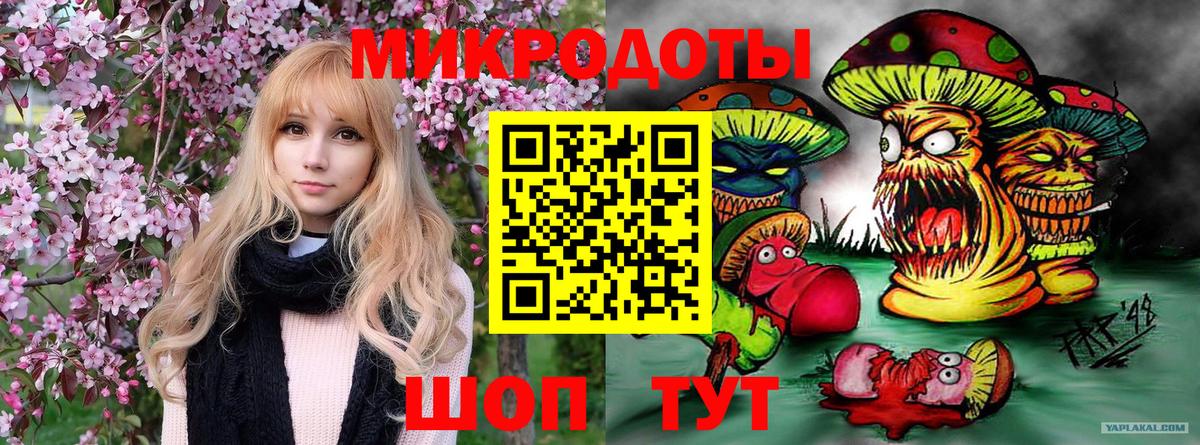 Псилоцибиновые грибы Cubensis Железногорск