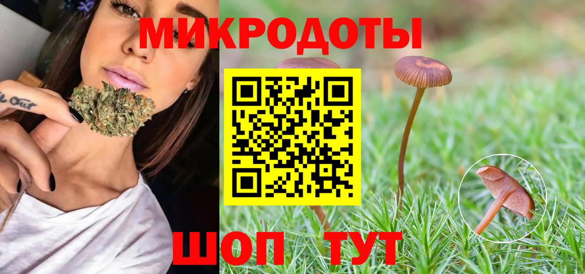 Галлюциногенные грибы Cubensis Железногорск