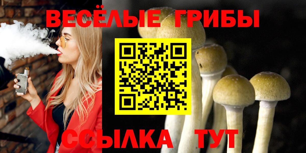 Псилоцибиновые грибы Cubensis  Вход с VPN  Железногорск 