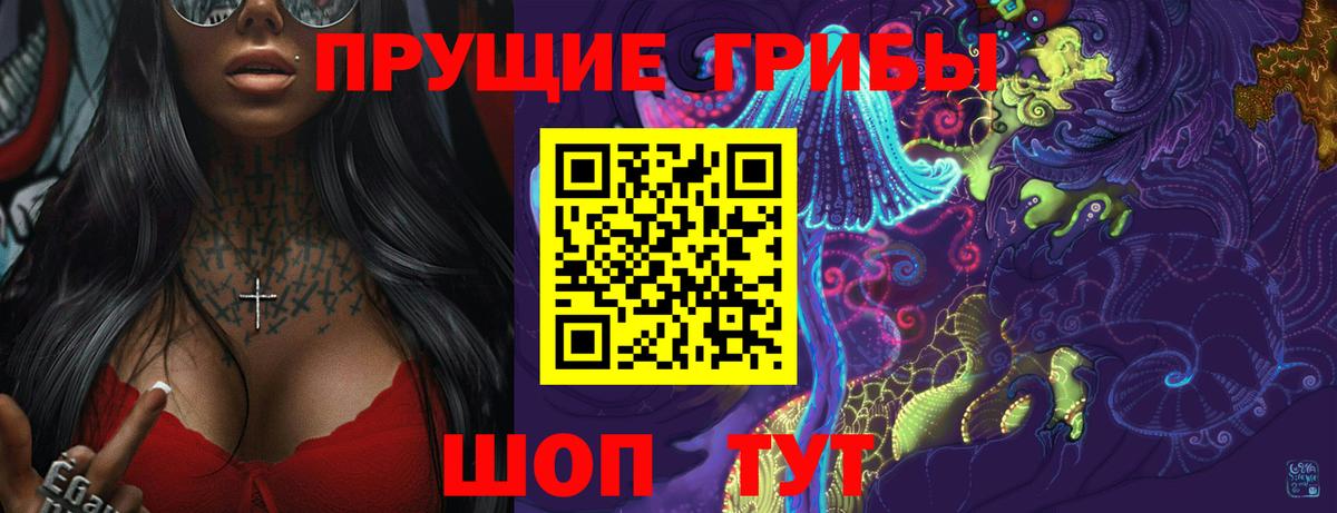 Галлюциногенные грибы Psilocybe  Псилоцибиновые грибы прущие грибы  Железногорск 